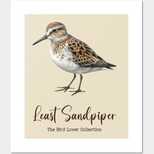 Least Sandpiper - The Bird Lover Collection Posters and Art